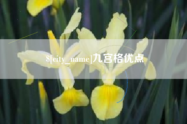 阿坝九宫格优点