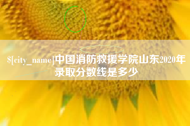 阿坝中国消防救援学院山东2020年录取分数线是多少