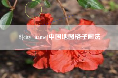 阿坝中国地图格子画法
