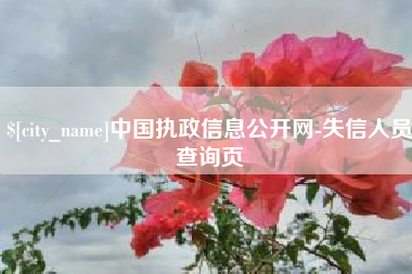阿坝中国执政信息公开网-失信人员查询页