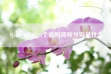 阿坝34个省的简称分别是什么
