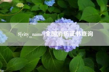 阿坝全国消防证书查询