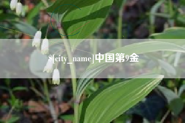 阿坝中国第9金