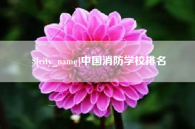 阿坝中国消防学校排名