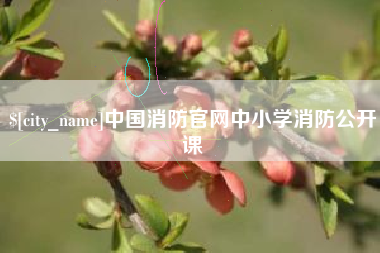 阿坝中国消防官网中小学消防公开课