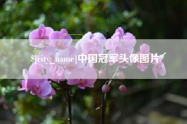 阿坝中国冠军头像图片