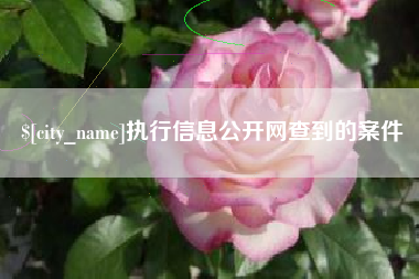 阿坝执行信息公开网查到的案件