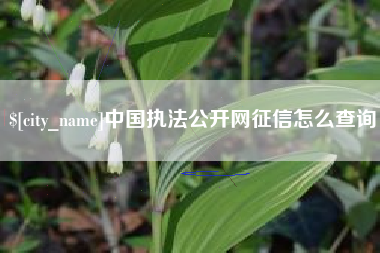 阿坝中国执法公开网征信怎么查询