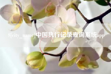 阿坝中国执行记录查询系统app