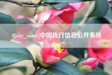 阿坝中国执行信息公开系统