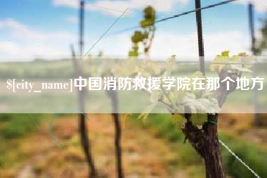 阿坝中国消防救援学院在那个地方