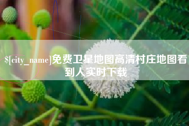 阿坝免费卫星地图高清村庄地图看到人实时下载