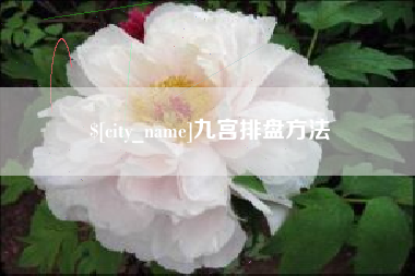 阿坝九宫排盘方法