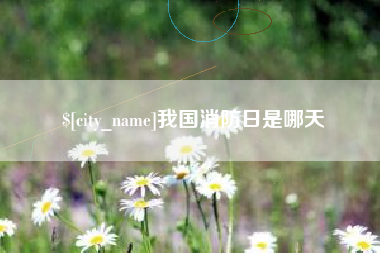 阿坝我国消防日是哪天