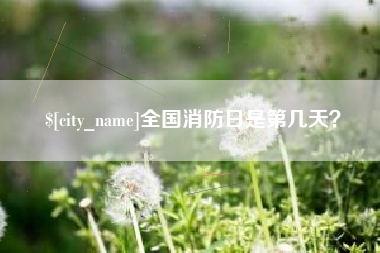 阿坝全国消防日是第几天？