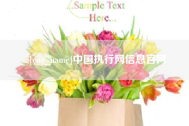 阿坝中国执行网信息官网