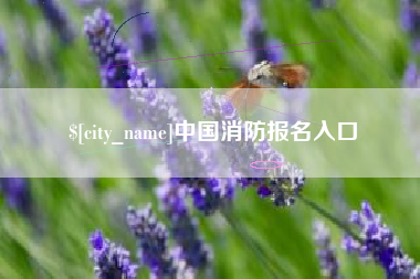 阿坝中国消防报名入口