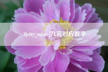 阿坝九宫对应数字