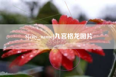阿坝九宫格龙图片