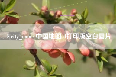 阿坝中国地图a4打印版空白图片