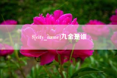 阿坝九金是谁