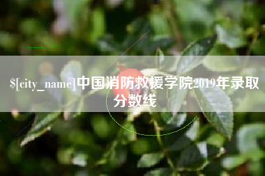 阿坝中国消防救援学院2019年录取分数线