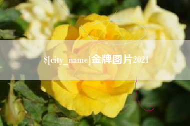 阿坝金牌图片2021