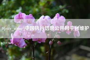 阿坝中国执行信息公开网平台维护