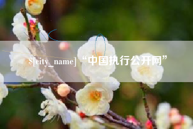 阿坝“中国执行公开网”