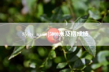 阿坝5000米及格成绩