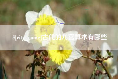 阿坝古代的九宫算术有哪些