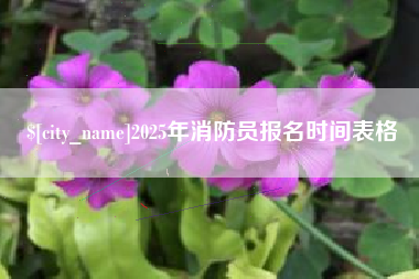 阿坝2025年消防员报名时间表格