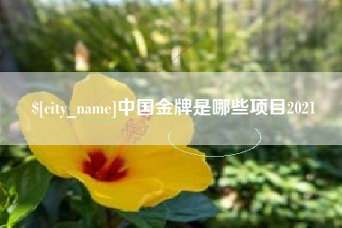 阿坝中国金牌是哪些项目2021