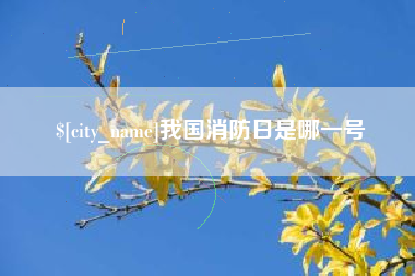 阿坝我国消防日是哪一号