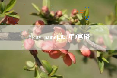阿坝2021年9宫格