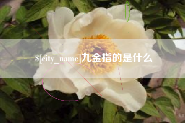 阿坝九金指的是什么