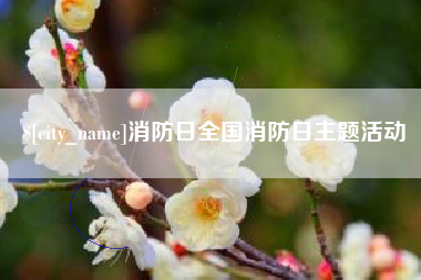 阿坝消防日全国消防日主题活动