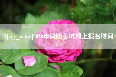 阿坝2020年消防考试网上报名时间