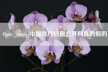 阿坝中国执行信息公开网真的假的