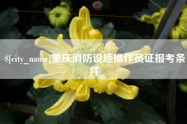 阿坝重庆消防设施操作员证报考条件
