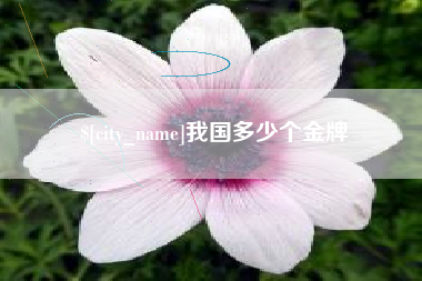 阿坝我国多少个金牌