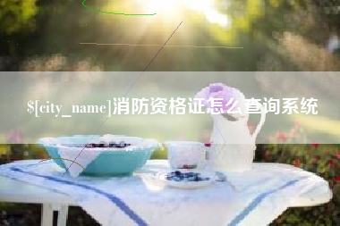 阿坝消防资格证怎么查询系统