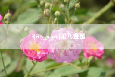 阿坝第九金是