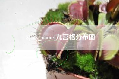 阿坝九宫格分布图
