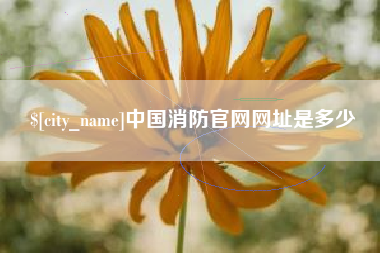 阿坝中国消防官网网址是多少