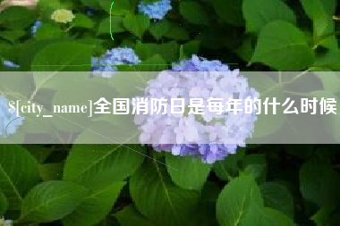 阿坝全国消防日是每年的什么时候
