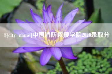 阿坝中国消防救援学院2020录取分