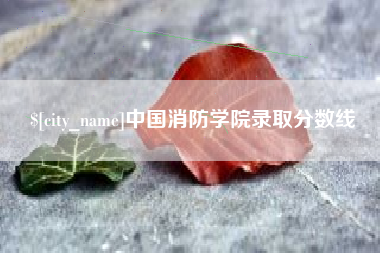 阿坝中国消防学院录取分数线