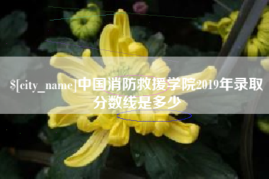 阿坝中国消防救援学院2019年录取分数线是多少