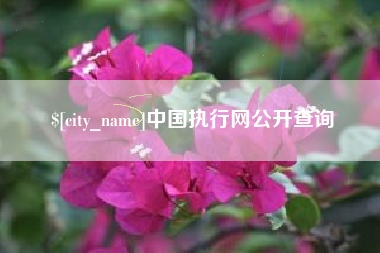 阿坝中国执行网公开查询